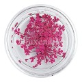Flores secas 13, Rosa Fucsia