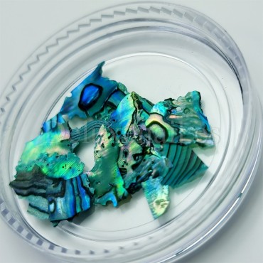Concha Rota perlada 002, Azul Turquesa, 2 gr