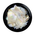 Concha Rota perlada 003, Blanco, 2 gr
