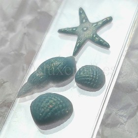 Molde de silicona transparente para los diseños, Conchas 2