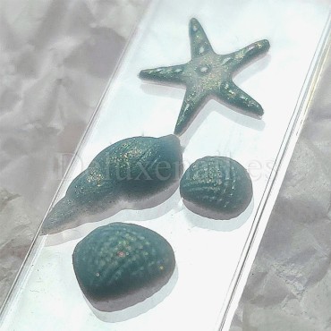 Molde de silicona transparente para los diseños, Conchas 2