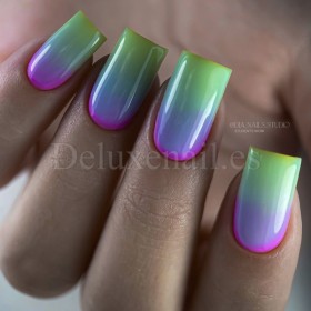 Bottle Gel con pincel 05 NAILSOFTHEDAY, 10 ml