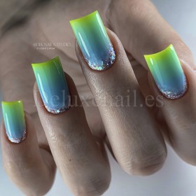 Bottle Gel con pincel 05 NAILSOFTHEDAY, 10 ml