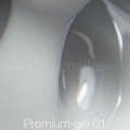 Premium Gel 01 NAILSOFTHEDAY, 30 gr