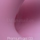 Premium Gel 03 NAILSOFTHEDAY, 30 gr