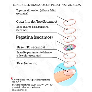 Pegatina al agua FC 124