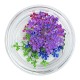 Flores secas Mix 1
